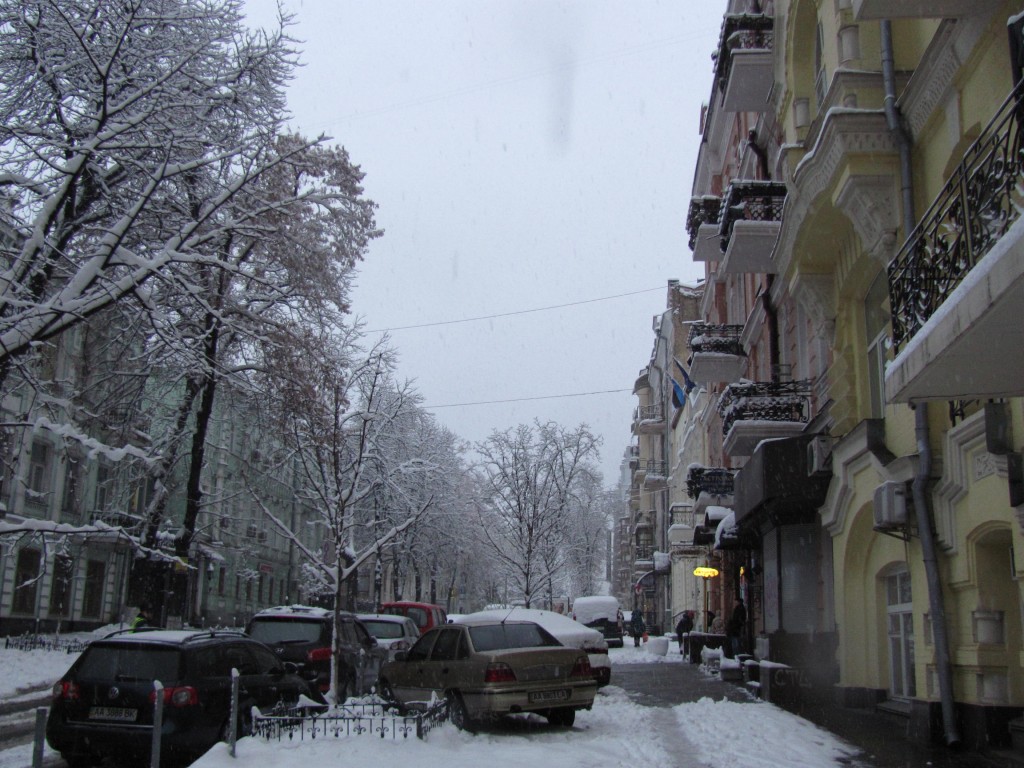 IMG_2421.jpg