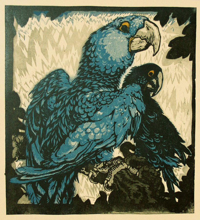 IMG_6471 web.jpg