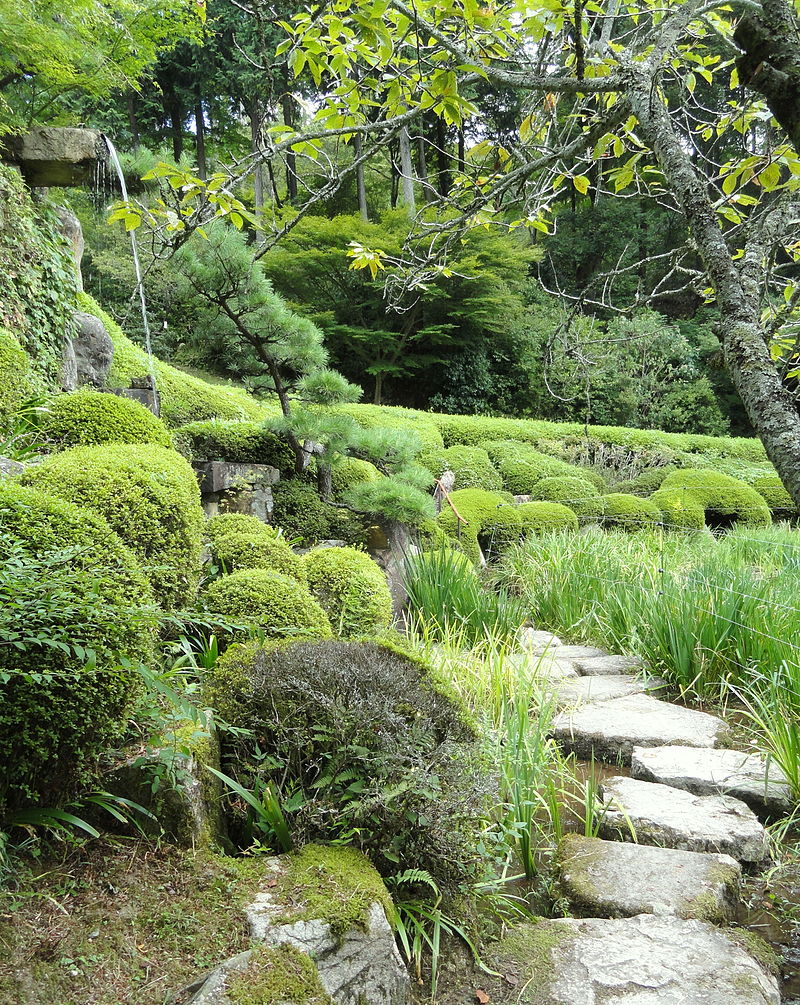 Iris_garden_-_Ishiyamadera_-_Otsu,_Shiga_-_DSC07445.JPG