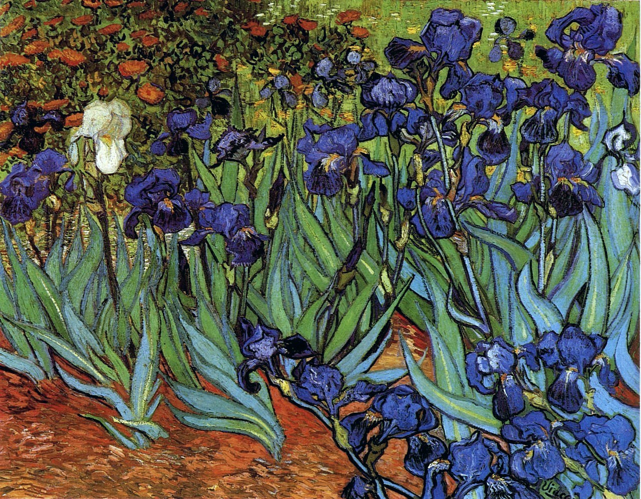 irises-1889.jpg