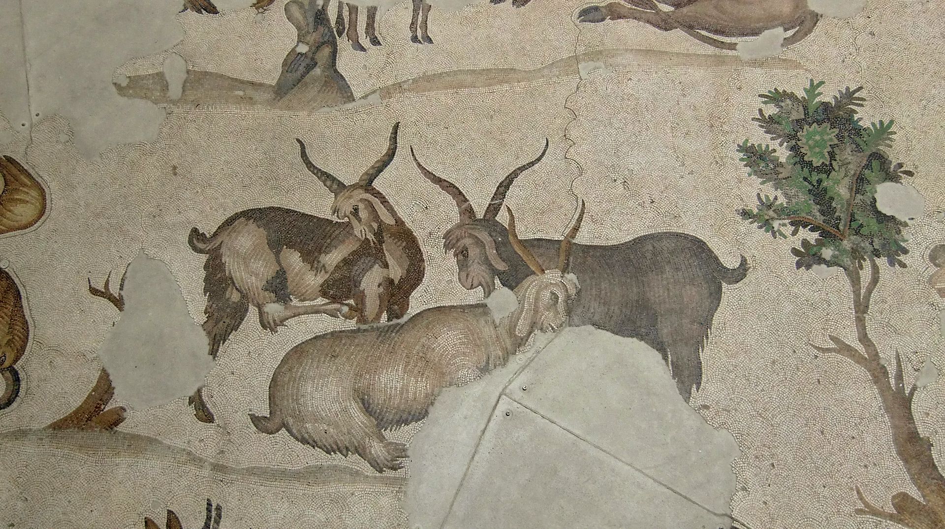 Istanbul_Museo_Mosaici_11.JPG