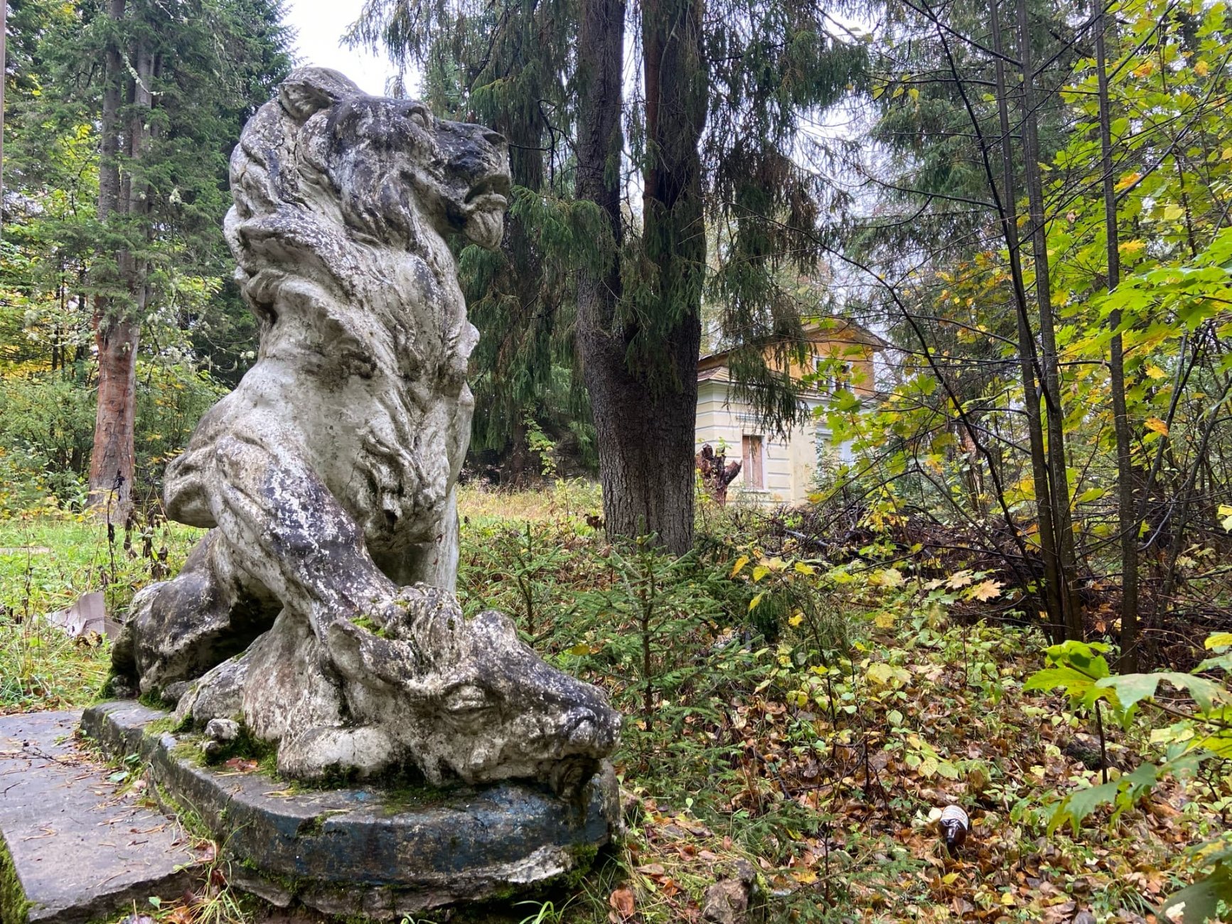ivanovskoe-ovseevo-2.jpg