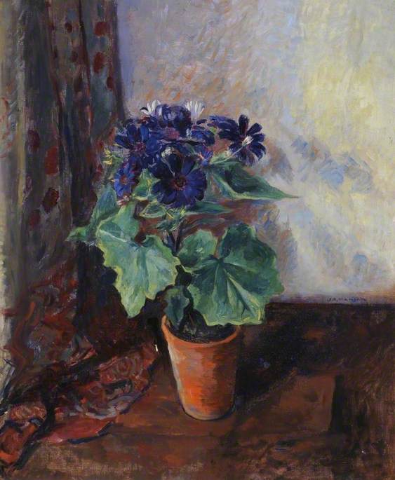 James-Bolivar-Manson-Cineraria.jpg