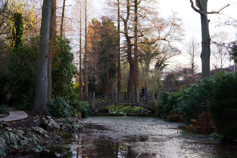 Japanese_Bridge_at_Winterbourne_Botanic_Garden_-_geograph.org.uk_-_3779668.jpg