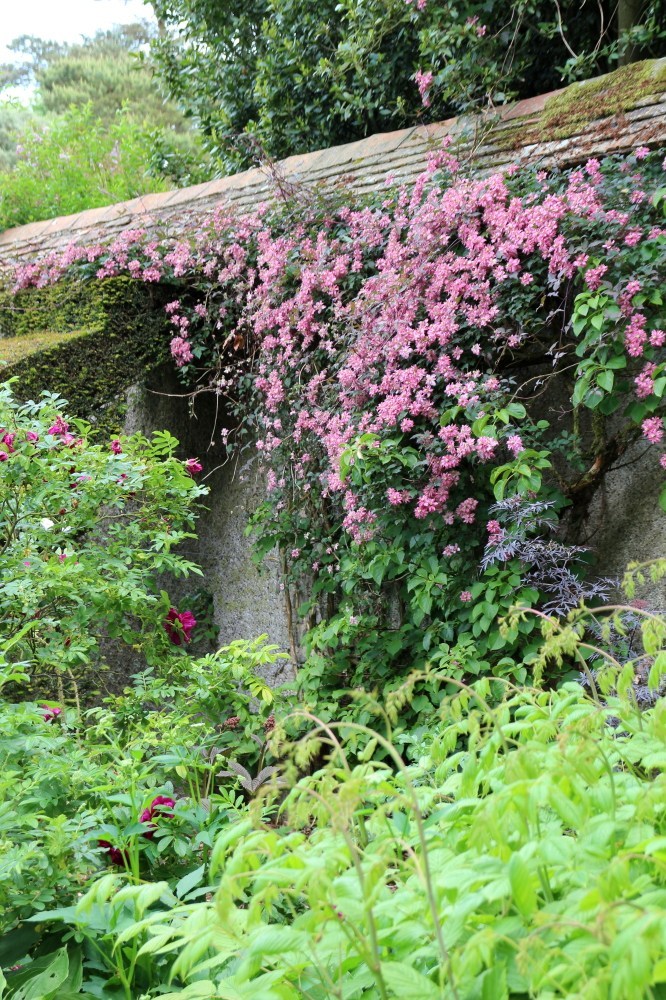 Jardin-bois-Moutiers-10.jpg