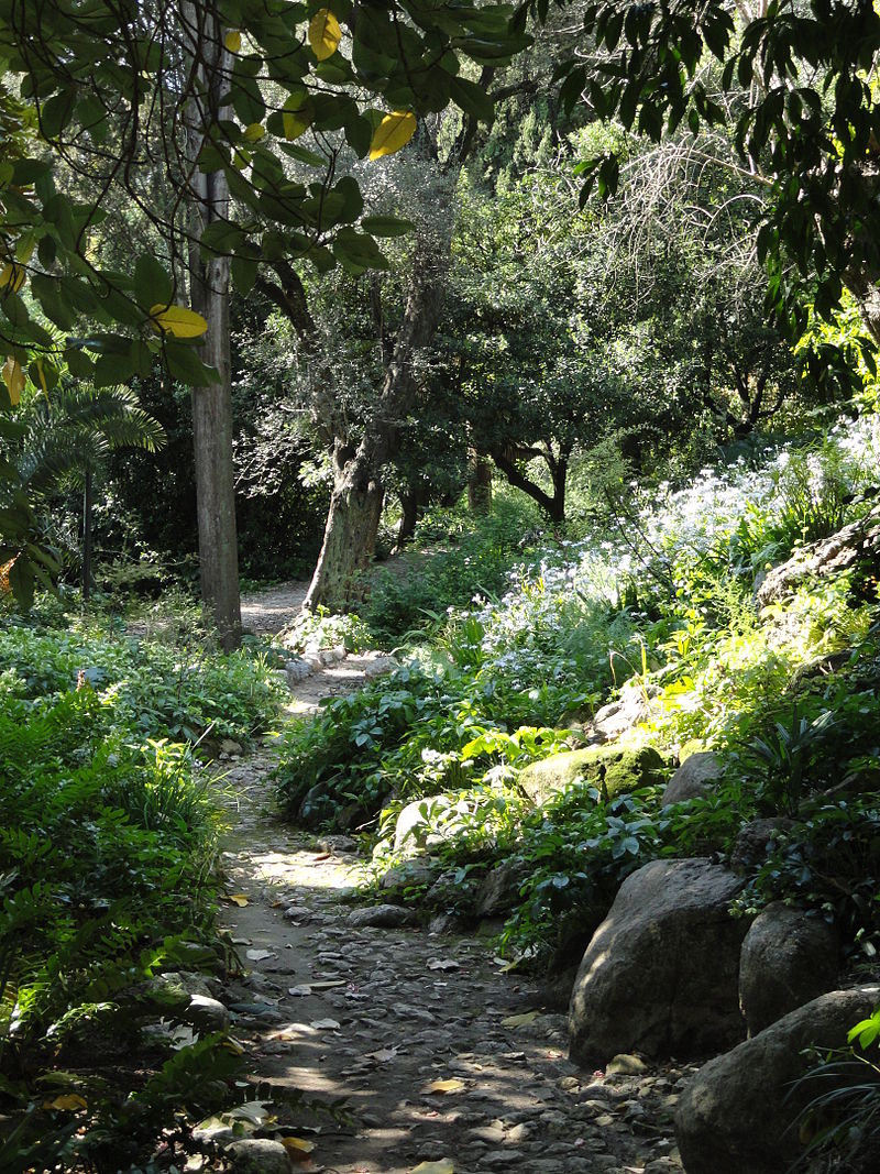 Jardin_Serre_de_la_Madone_-_DSC04035.JPG