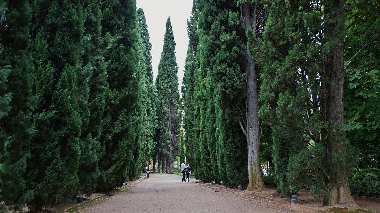 Jardines_del_conjunto_del_Generalife_09.JPG