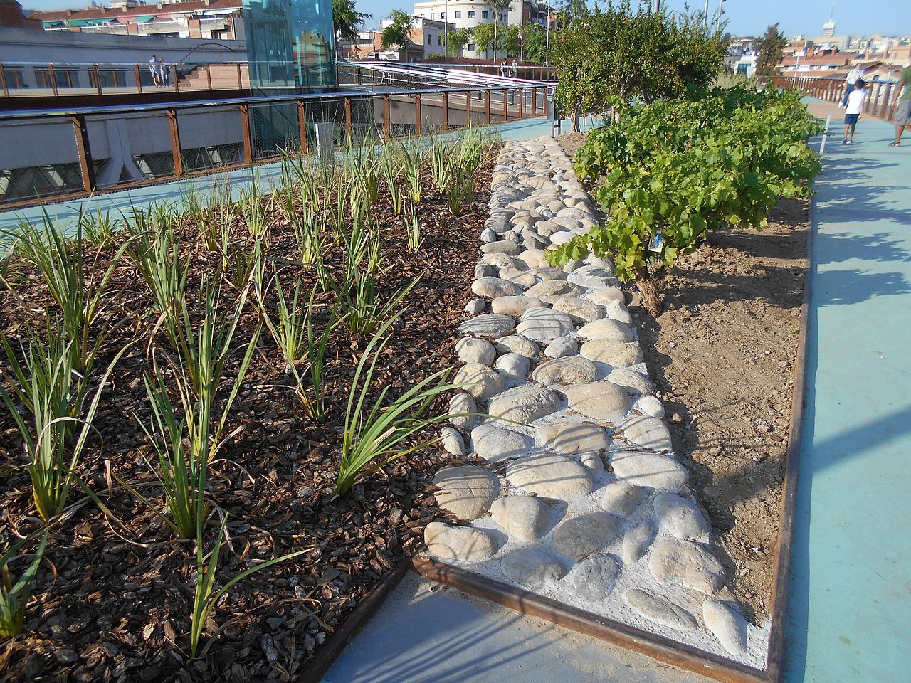 Jardins_Rambla_Sants7.jpg