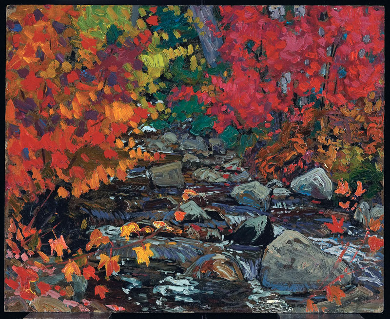 jehm-autumn-leaves-batchewana-wood-algoma-ago-3042-web (1).jpg