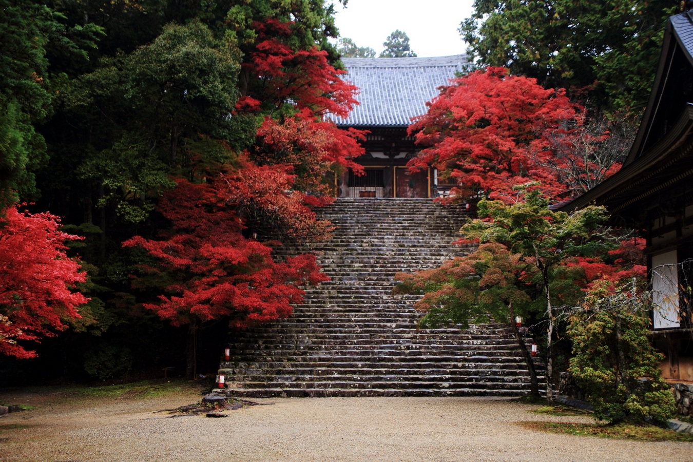 jingoji-koyo-2016.jpg