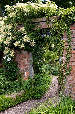 JLY6108_WOLLERTON_OLD_HALL_GARDEN_JUNE.jpg