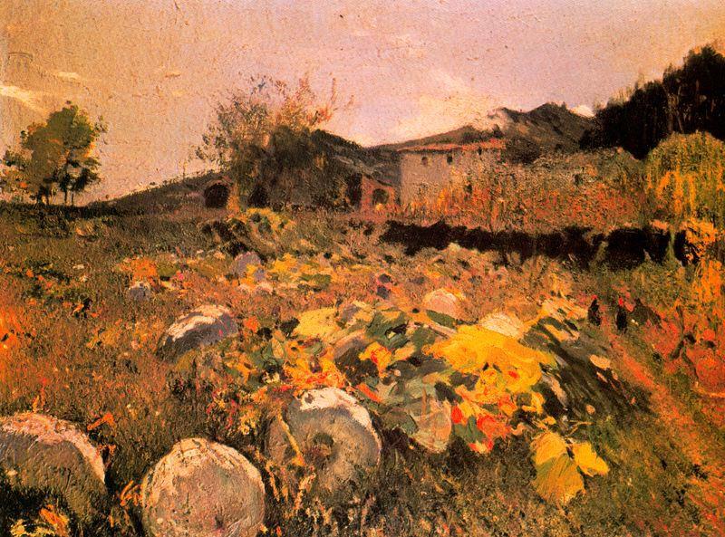 Joaquin-Mir-Trinxet-Campo-de-calabazas (1).JPG
