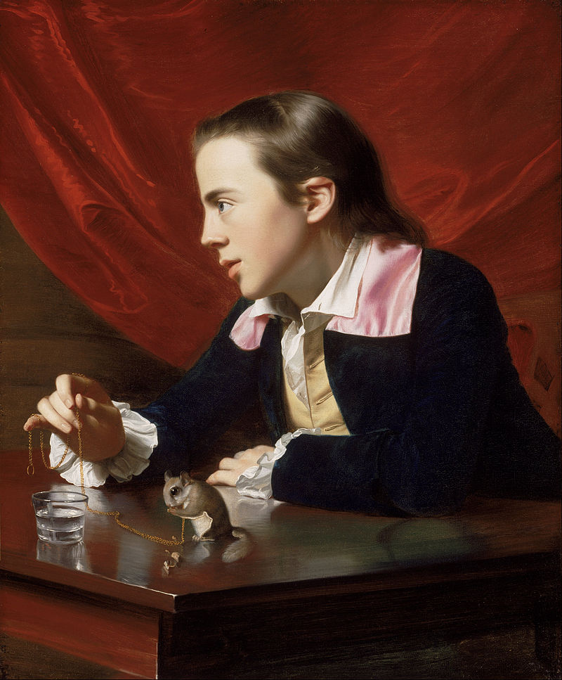 John_Singleton_Copley_1775-_A_Boy_with_a_Flying_Squirrel_(Henry_Pelham)_-_Google_Art_Project.jpg
