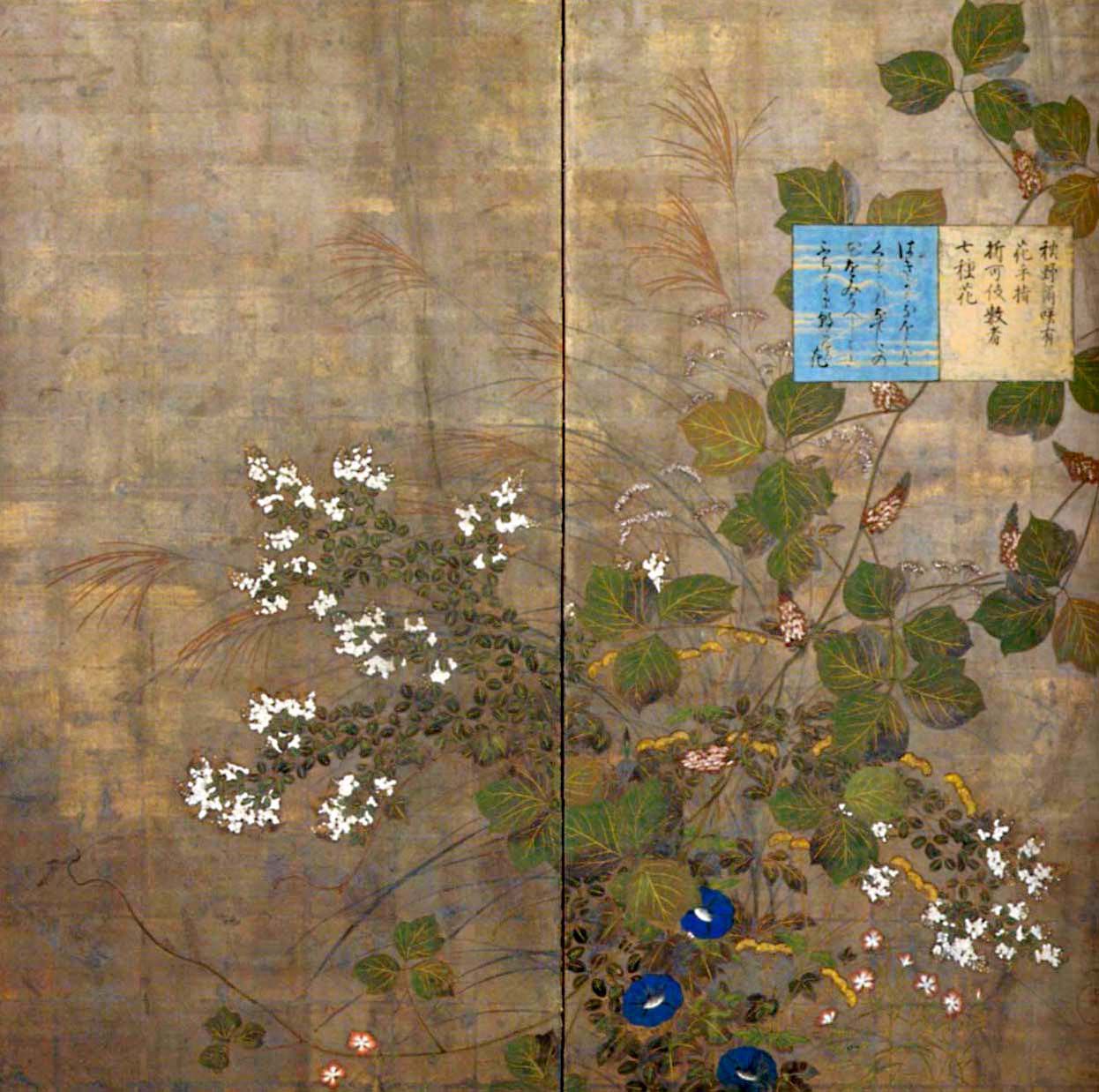 jSuzuki Kiitsu pk00991.jpg