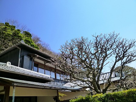 kanagawa_01-049-05.jpg