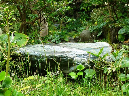 kanagawa_01-061-03.jpg