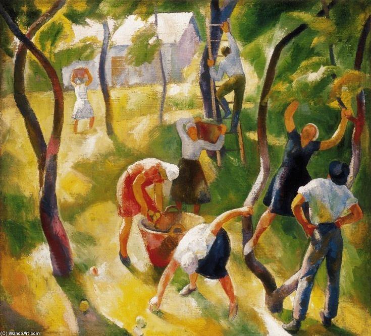 Karoly+Patko-Harvesting+Grape.jpg