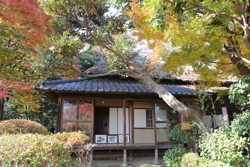 kawai_gyokudo_gashitsu2204.jpg