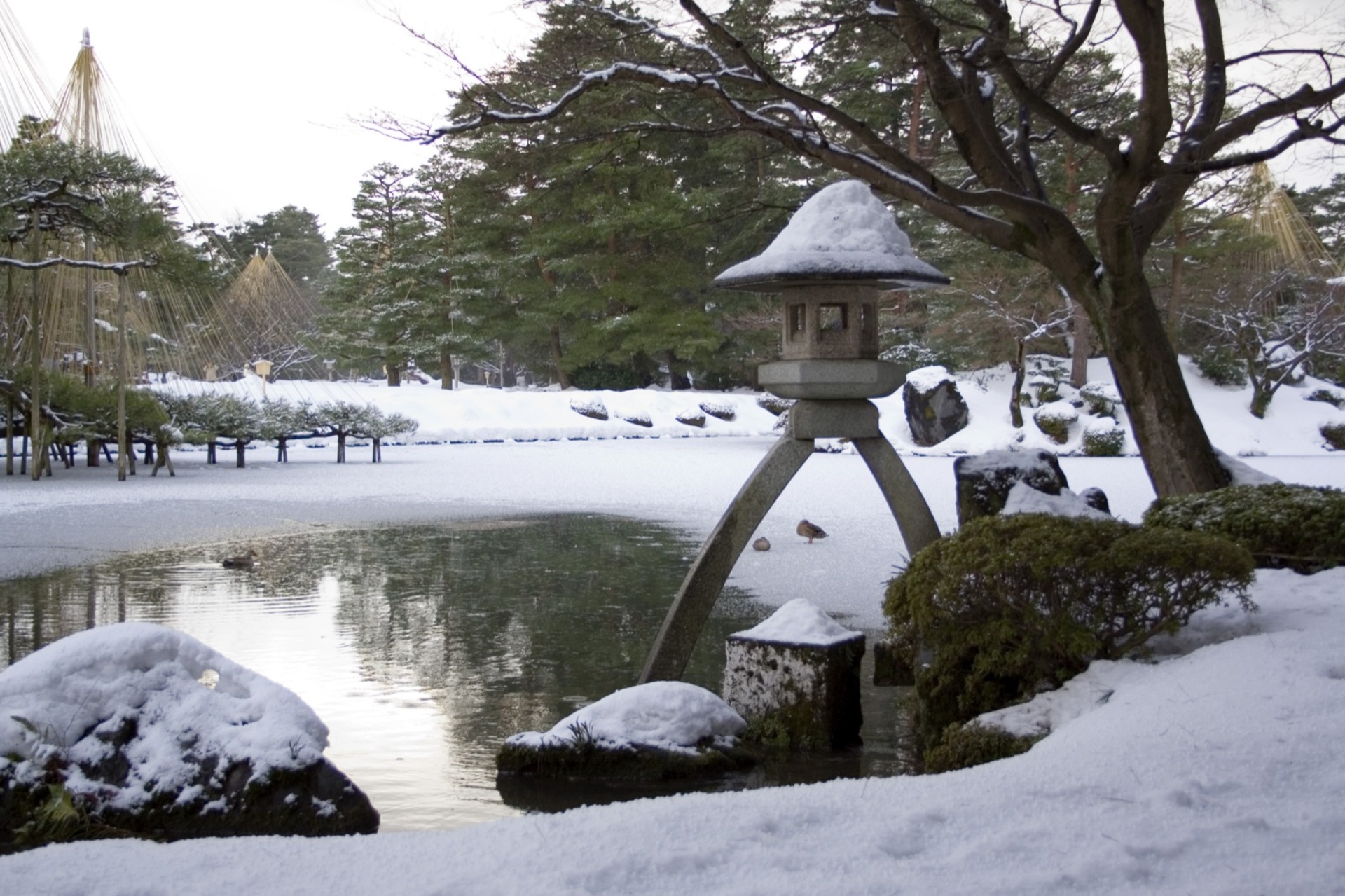 Kenroku-en (8).jpg