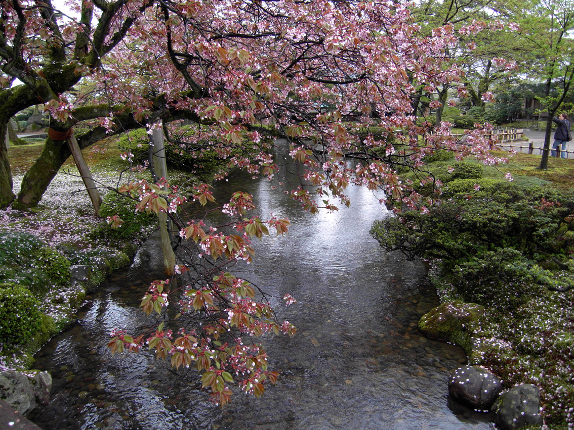 Kenroku-en_Scene-6.jpg