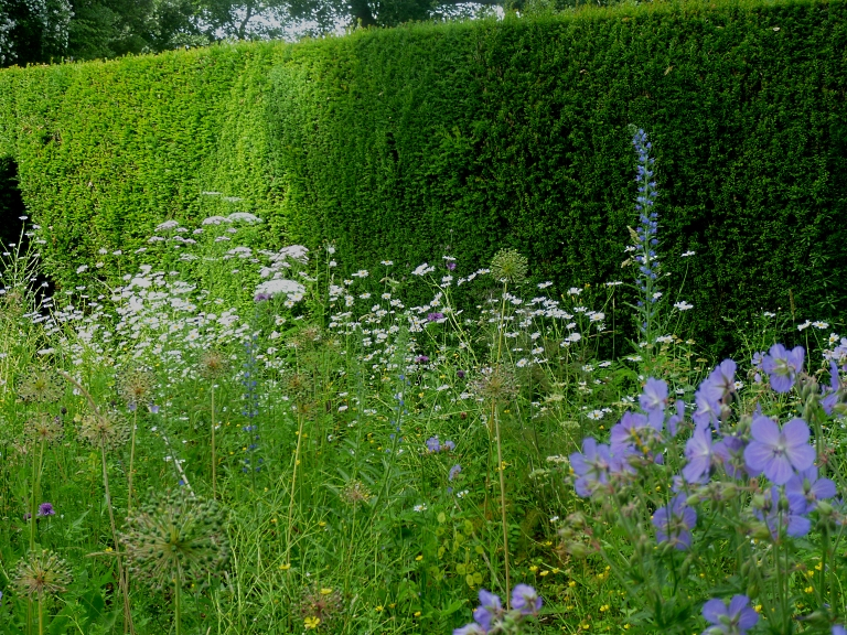 kiftsgate-wild-garden-617.jpg