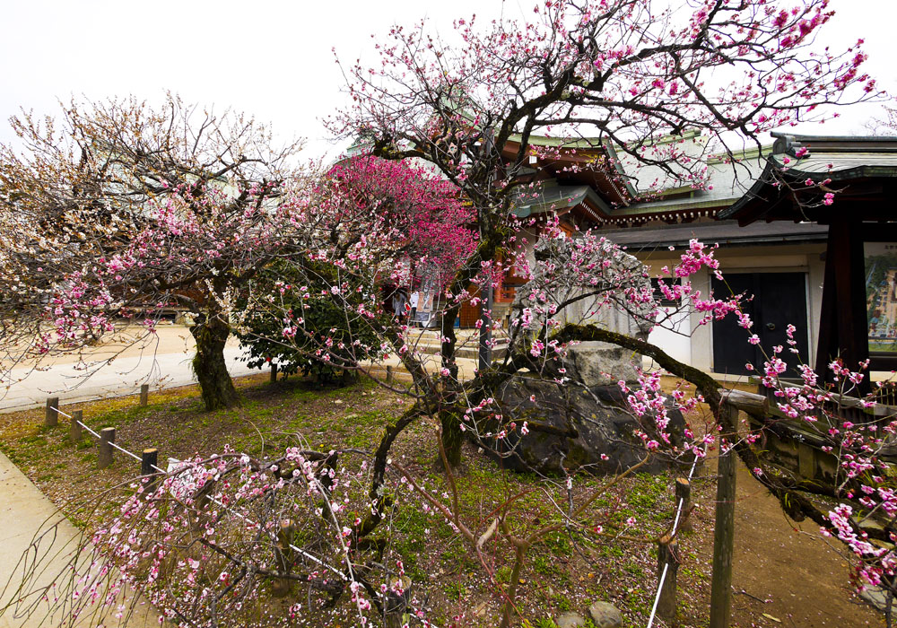 kitanotenmangu_image_2.jpg