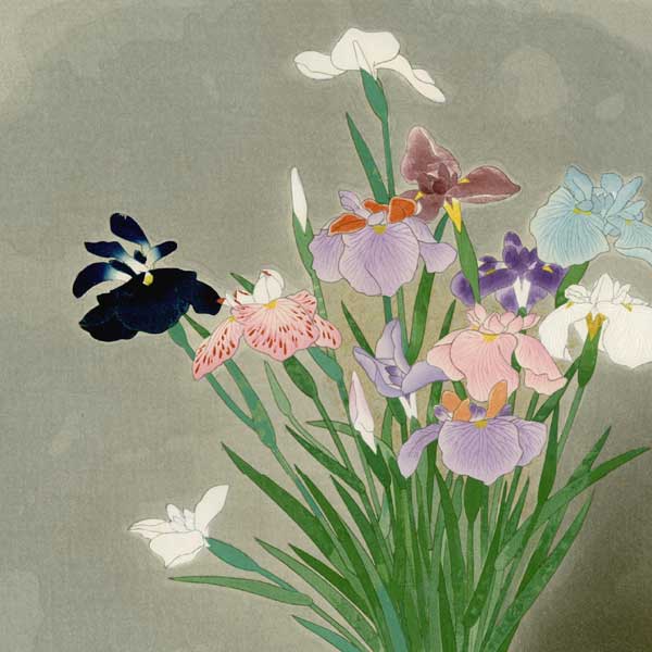 Kobayashi_Kokei-No_Series-Irises-00040014-070125-Z00.jpg