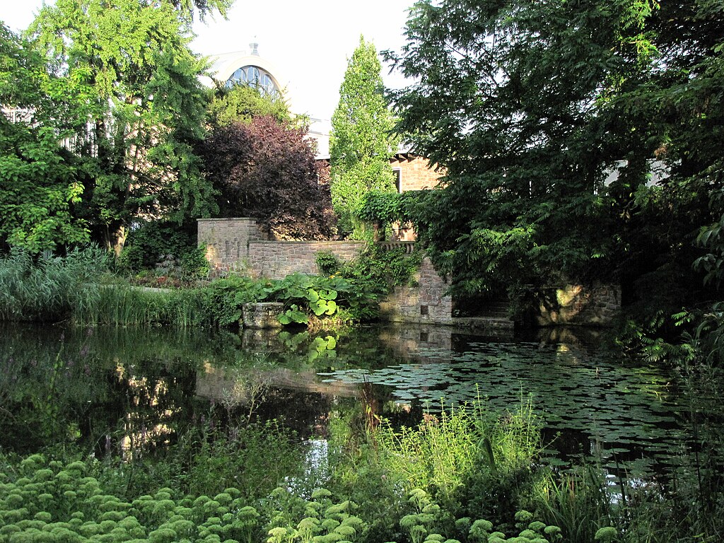 Koeln_Flora_Weiher_1906 женский розовый сад 8378.JPG