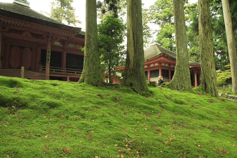 Kokedera Moss Garden Temple 7.jpg