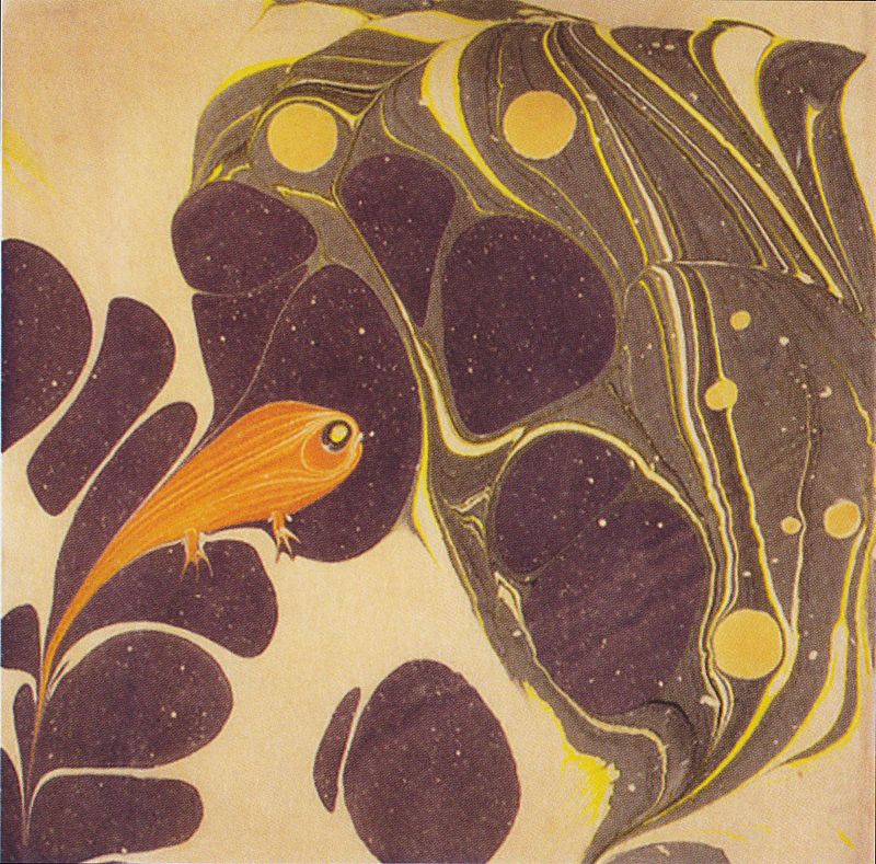 Kolo_Moser_-_Fische1_-_ca1904.jpeg.jpeg