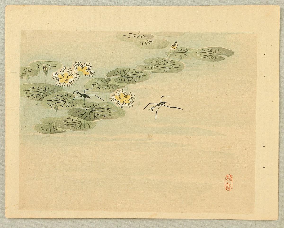 Kono_Bairei-No_Series-Water_Strider-00042776-101220-F12.jpg