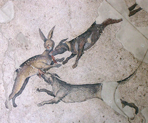 konstantinopol_zay-dogi.jpg