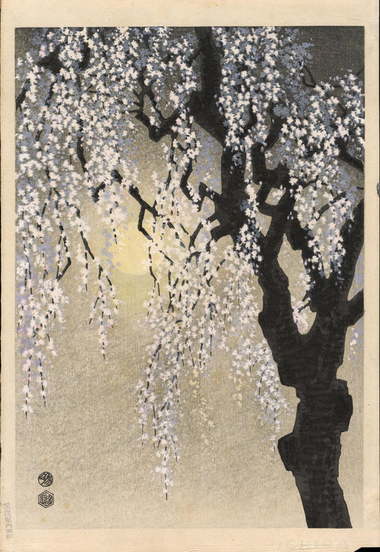 Kotozuka_Eiichi-Drooping_Cherry_Blossoms-009869-01-27-2009-9869-x800.jpg