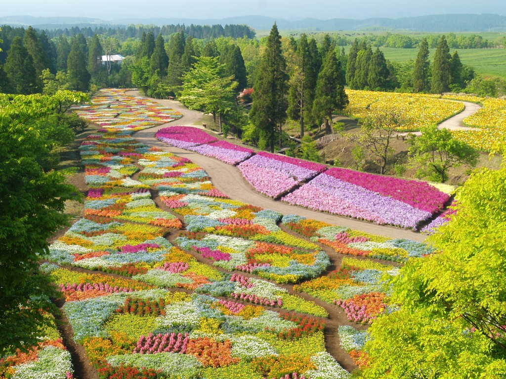 KujuFlowerPark_6kkhrck9if9gkvo7u26vufv2sa5wgv2z5n73v0r0liqgw5isr8.jpg