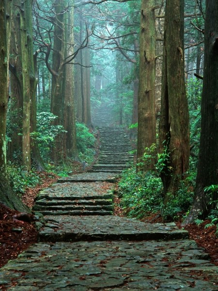 kumanokodo.jpg