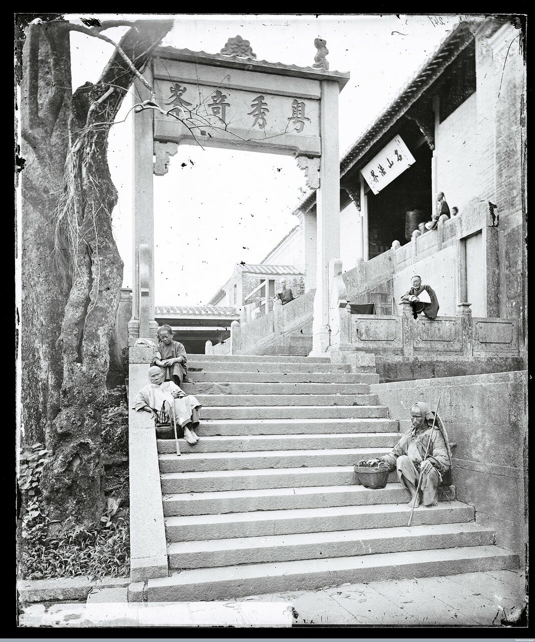 L0055965.jpg