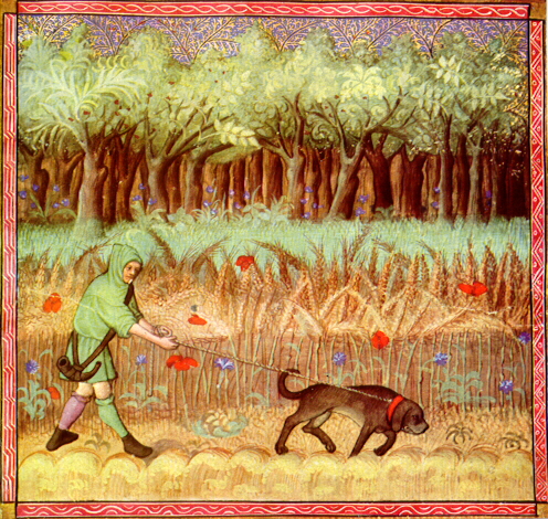 lachasse.jpg