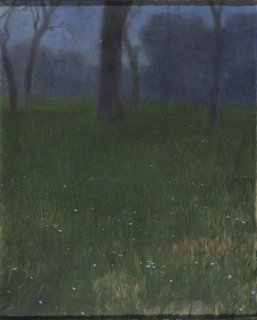landscape-1903.jpg