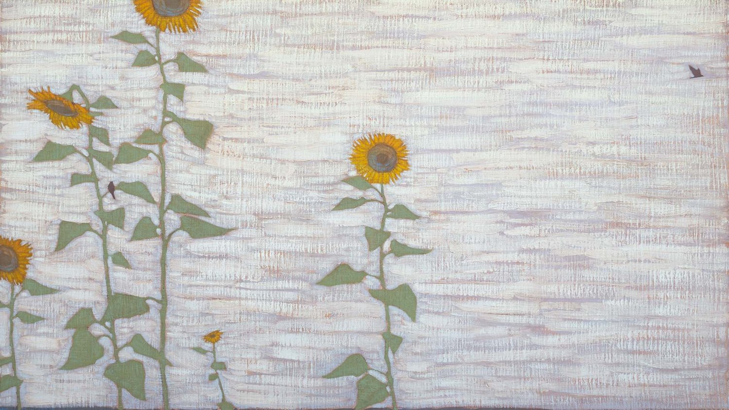 Late+Summer+Sunflowers,+banner (1).jpg