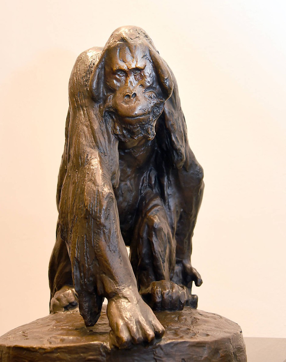 laufender-urang-utan-um-1895.jpg
