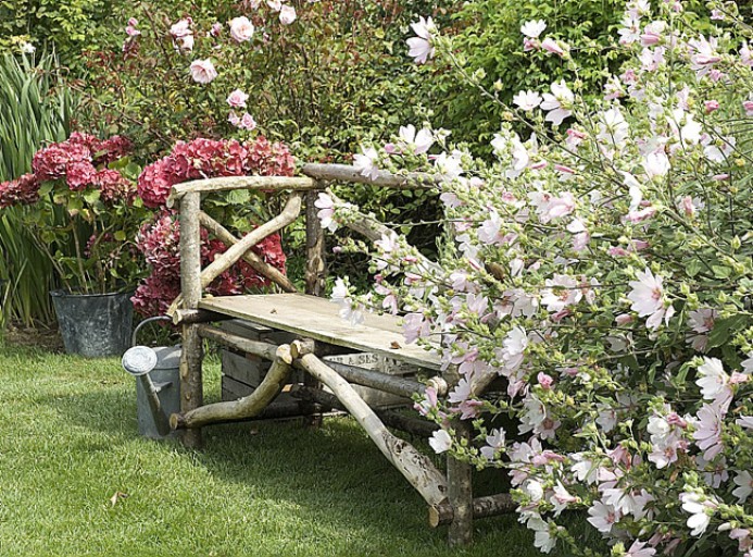 lavatere-hortensia-l750-h512.jpg