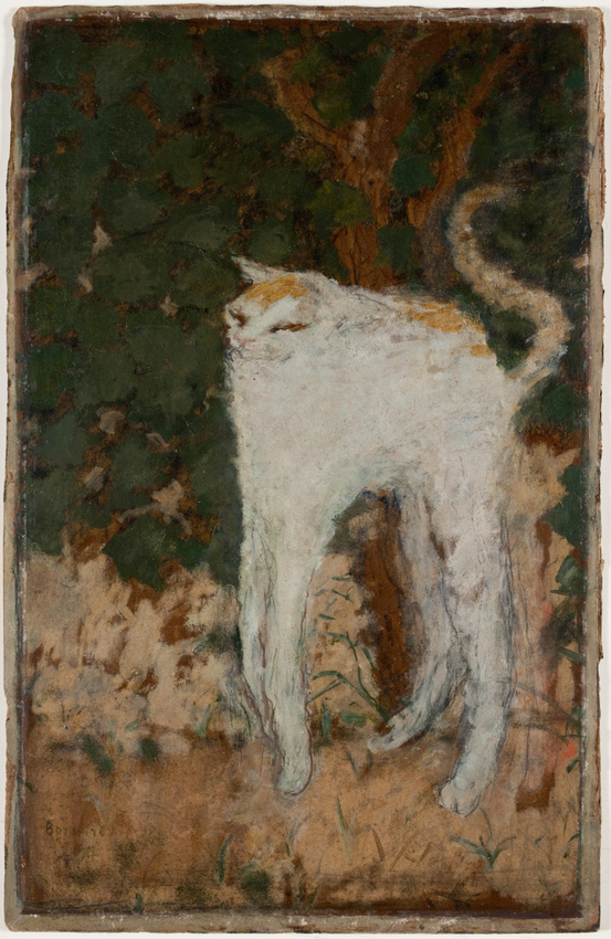 Le_Chat_blanc.jpg
