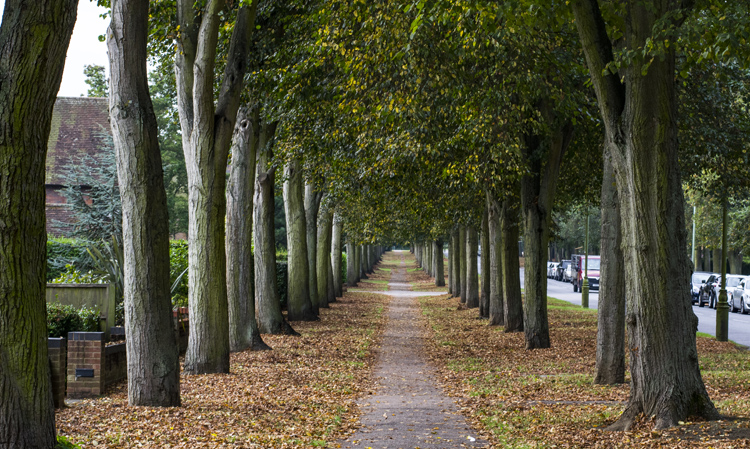 Letchworth20-Broadway.jpg