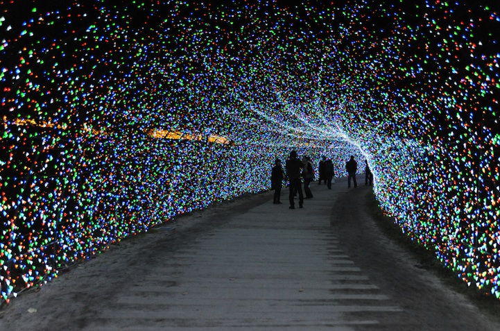 light.jpg