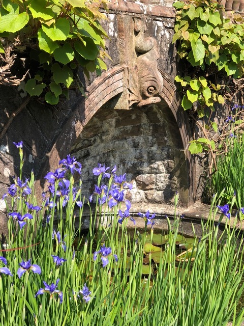 Lily_pond_with_dolphin_below_the_terrace.jpg