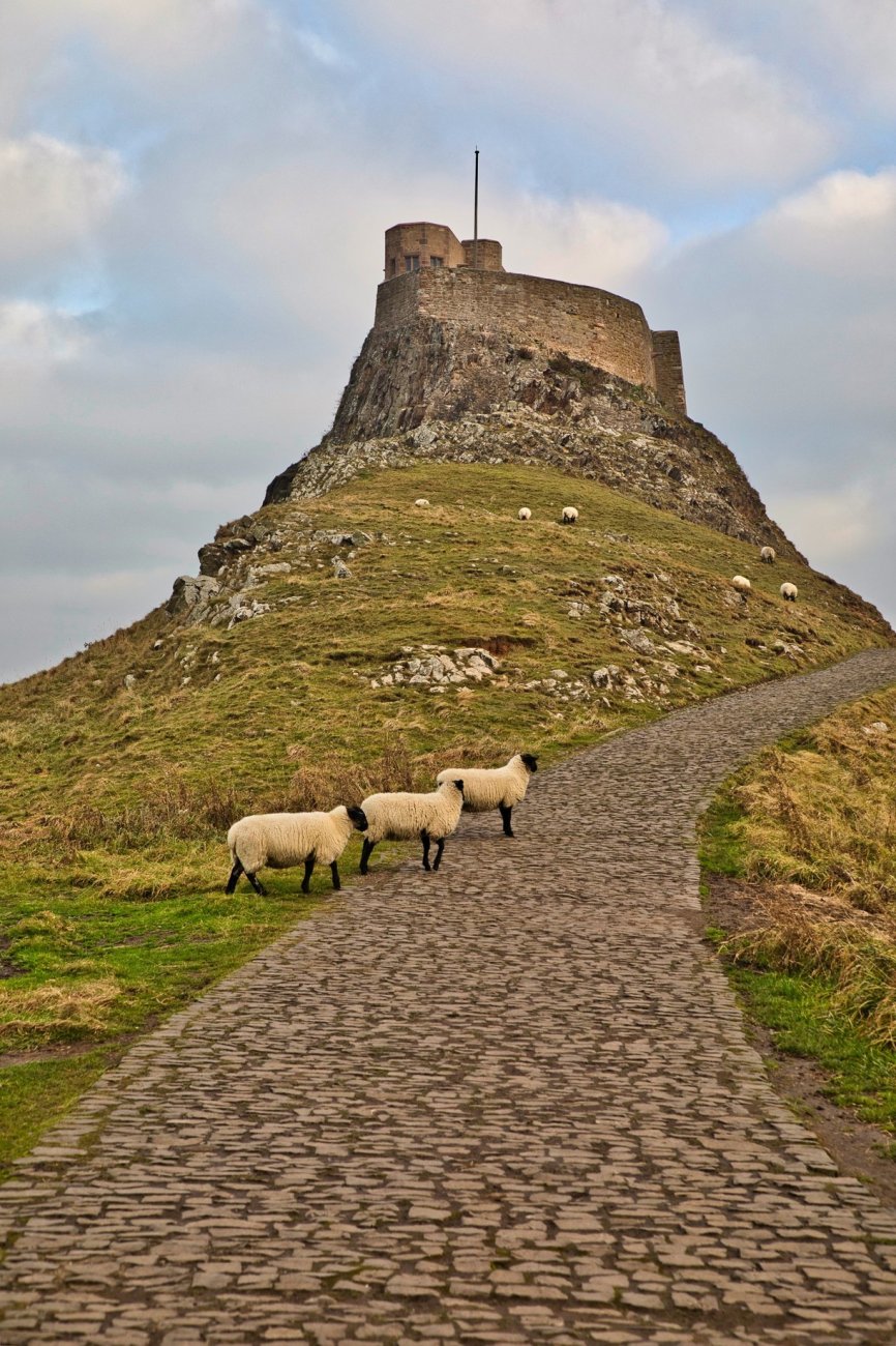 LINDISFARNE CASTLEfixedw_large_4x.jpg