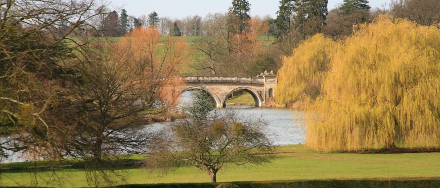 LionBridge_IMG_4073 (1).jpg