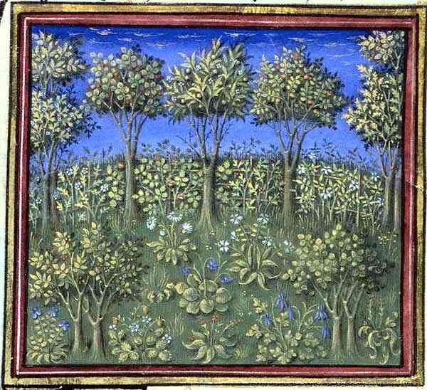 livre-propriete-choses-barthelemy-anglais-jardin.jpg
