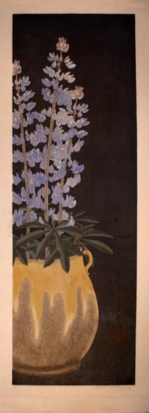 lupines.jpg