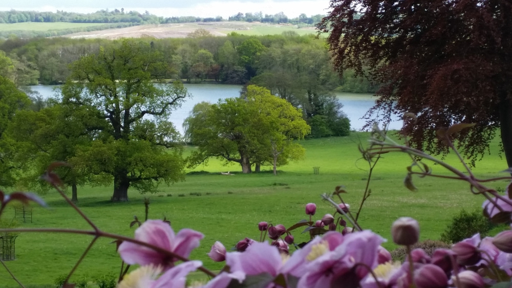 M1-5_view-of-Gatton-Park-with-pink-clematis-landscapeBASSA.jpg